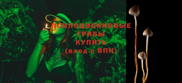 эйфоретик Алексин