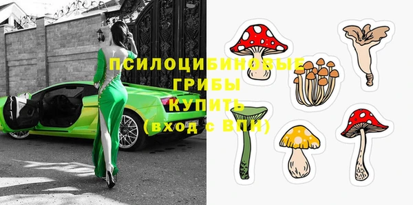 молекула духа Абдулино