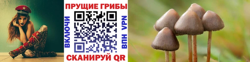 Псилоцибиновые грибы прущие грибы площадка клад Плавск